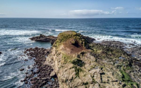 Jims Folly